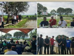 Bumdes Mabbulo Sibatang Gelar Panen Perdana Budidaya Ikan Nila di Rangkaikan Pemancingan; Dorong Ketahanan Pangan di Desa Bonto Tallasa