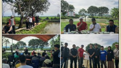 Bumdes Mabbulo Sibatang Gelar Panen Perdana Budidaya Ikan Nila di Rangkaikan Pemancingan; Dorong Ketahanan Pangan di Desa Bonto Tallasa