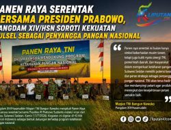 Panen Raya Serentak Bersama Presiden Prabowo, Pangdam XIV/Hsn Soroti Kekuatan Sulsel Sebagai Penyangga Pangan Nasional