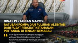 Dinas Pertanian Maros: Ratusan Pompa dan Puluhan Alsintan dari Pusat Perkuat Ketahanan Pertanian di Tengah Kemarau 
