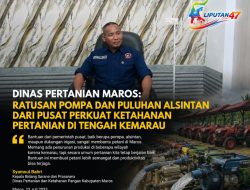 Dinas Pertanian Maros: Ratusan Pompa dan Puluhan Alsintan dari Pusat Perkuat Ketahanan Pertanian di Tengah Kemarau 