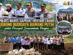 Polres Maros Siapkan 1 Hektare Lahan, Dorong Budidaya Bawang Putih untuk Percepat Swasembada Pangan Nasional