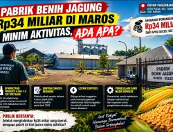 Pabrik Benih Jagung Rp34 Miliar di Maros Minim Aktivitas, Ada Apa?