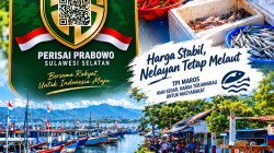 Harga Cabai di TPI Maros Tembus Rp85 Ribu per Kilogram, Nelayan Harap Pengawasan Solar Subsidi Diperketat